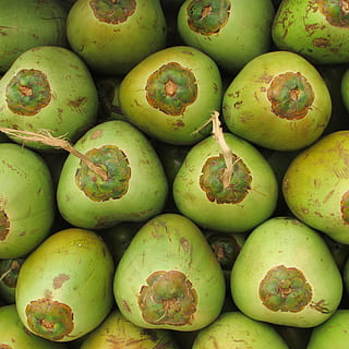 kokosnøtter, frukt, coco, grønn, frø, drupe, tropisk, eksotisk, shiggaon, india, stable, marked, mat og Drikke, spise sunt, mat, grønn farge, friskhet, stor gruppe gjenstander, velvære, bakgrunn, full ramme, overflod, ingen folk, til salgs, detaljhandel, markedet stall, nærbilde, stilleben, mango frukt, høy vinkel visning, salg, detaljhandel display, moden, 2K, CC0, offentlig domene, opphavsrett gratis