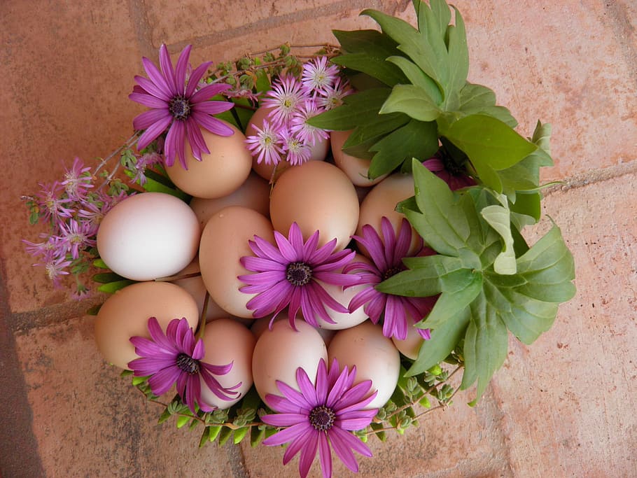 vanatoarea de oua de Paste, ghirlandă, ou, Paști, vacanţă, celebrare, primăvară, decorativ, tradiţional, floare, coş, roz, natură, nici o persoana, în interior, vedere în unghi mare, fragilitate, direct deasupra, planta cu flori, plantă, prospeţime, vulnerabilitate, a închide, cap de floare, inflorescenţă, frumusețe în natură, petală, culoarea roz, frunze, parte a plantelor, zi, creştere, planta in ghiveci, Violet, ghiveci, buchet de flori, aranjament floral, 2K