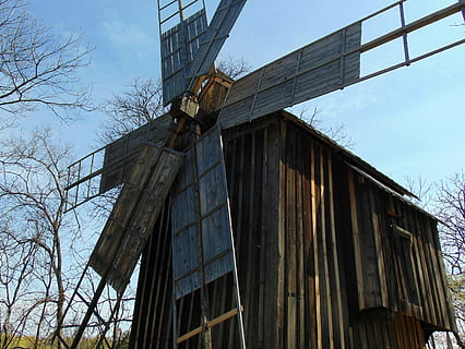 moara de vant, moară, vechi, pisa, vedere unghiulară joasă, arhitectură, construită, cer, natură, arbore gol, nici o persoana, exteriorul clădirii, zi, copac, în aer liber, nor - cer, lemn - material, abandonat, industrie, plantă, clădire, conservarea mediului, deteriorat, ruinat, 2K, CC0, domeniu public, fără drepturi de autor