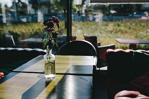 jack, &, Jack's, Bar, amp, Restaurant, Gdynia, Poland, interior, table, architecture, jack daniel's, urban, whiskey, interiors, bottle, chair, no People, outdoors, day, water, close-up, plant, flower, flowering plant, nature, focus on foreground, vase, real people, human body part, human hand, freshness, glass - material, food and drink, book, publication, one person, hand, glass, 4K, CC0, public domain, royalty free