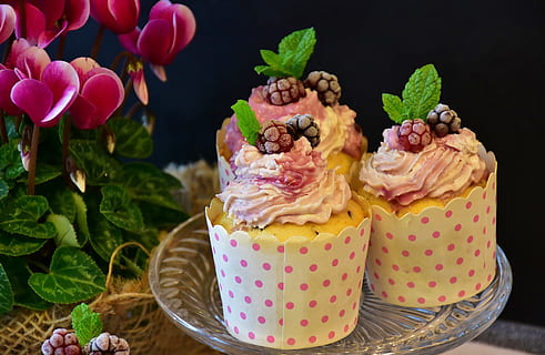 Trois, petits gâteaux, blanc, à pois, couverture, clair, soucoupe en verre, petit gâteau, muffin, gâteau, bonbons, Tarte, décorations de gâteaux, crème, mascarpone, Garniture, baies, cuire, confiserie, sucré, manger, soirée café, forme, dessert, plat sucré, des pâtisseries, les calories, délicieux, farine, sucre, beurre, Oeuf, pâte, Ingrédients, préparation, aliments, artisanat, foodfoto, photographie alimentaire, Nourriture et boisson, fraîcheur, aliments sucrés, indulgence, tentation, fermer, personne, plante, multi couleur, prêt à manger, se concentrer sur le premier plan, plante à fleurs, feuille, à l'intérieur, fleur, mauvaise alimentation, 5K, CC0, domaine public, libre de droits