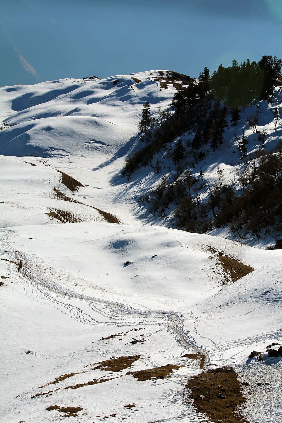 dayara bugayal (louky), hora, pokryté, sníh, stromy, modrý, nebe, strom, les, zimní, studená teplota, krása v přírodě, scenics - příroda, klidné scény, klid, bílá barva, rostlina, mimoměstské scény, den, Příroda, krytina, nikdo, krajina, životní prostředí, zasněžené hory, venku, 5K