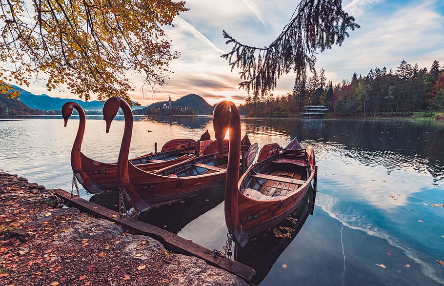 barca, nave, nuvole, cielo, fiume, lago, cigno, alberi, blu, tramonto, sole, le foglie, autunno, acqua, nave nautica, mezzi di trasporto, modo di trasporto, ormeggiato, natura, albero, riflessione, scenics - natura, nuvola - cielo, la tranquillità, bellezza nella natura, nessuno, pianta, spiaggia, scena tranquilla, all'aperto, barca a remi, 5K