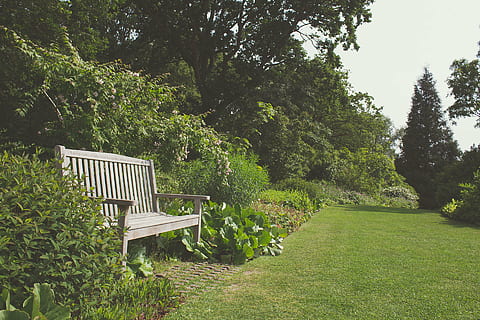 garden, nature, tree, bench, outdoors, grass, park - Man Made Space, green Color, summer, plant, seat, growth, empty, no people, absence, beauty in nature, chair, tranquility, day, park, land, tranquil scene, field, park bench, 1080P, CC0, public domain, royalty free