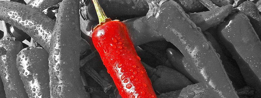 selektiv, farge chili pepper, Chilli Pepper, banner, Overskrift, bakteppe, chili, pepper, rød, nærbilde, ingen folk, full ramme, vann, utendørs, krydder, mat og Drikke, chili pepper, mat, grønnsak, spise sunt, friskhet, natur, rød chili pepper, isolert farge, dag, velvære, våt, kaldtemperatur, 4K, CC0, offentlig domene, opphavsrett gratis