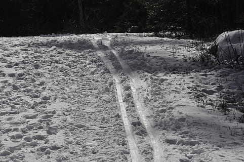 track, winter, skiing, tree, cold temperature, land, plant, snow, nature, no people, forest, water, beauty in nature, scenics - nature, day, tranquility, frozen, waterfall, tranquil scene, environment, flowing water, outdoors, flowing, falling water, icicle, 2K, CC0, public domain, royalty free