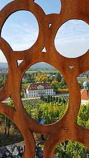 vinya, vista llunyana, schloss wackerbarth, arquitectura, cel, estructura construïda, dia, naturalesa, núvol - cel, cap gent, planta, forma, arc, història, a l'aire lliure, exterior de l'edifici, el passat, cercle, arbre, forma geomètrica, metall, destinacions de viatge, disseny, 5K, CC0, domini públic, lliure de regalies