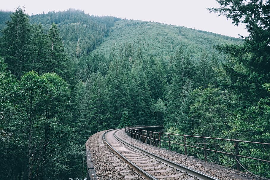 tren ferroviari, bosc, marró, tren metàl·lic de tren, envoltat, arbres, muntanyes, durant el dia, fotografia, arbre, pista de tren, pista, ferrocarril, ferrocarril elevat, barana, pi, de fulla perenne, verd, tren, pont del cavallet, cavallet, Pacífic nord-oest, pacífic, planta, transport per ferrocarril, vies del ferrocarril, creixement, color verd, transport, bellesa a la natura, naturalesa, dia, terra, cap gent, escena no urbana, transport públic, manera de transport, tranquil·litat, tren - vehicle, a l'aire lliure, 4K