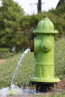 hydrant, oheň, voda, služba, město, ochrana, městský, zařízení, trubka, nalévat, uvolnění, čerpadlo, požární hydrant, kohoutek, rostlina, zaměřit se na popředí, kov, Příroda, zelená barva, den, nikdo, strom, tráva, architektura, bezpečnostní, bezpečnost, venku, přistát, detail, pole, park, kropící hadice, 4K, CC0, veřejná doména, bez autorských práv