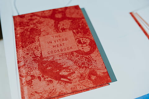 red, book, white, table, Red book, reading, literature, cookbook, no people, white background, close-up, indoors, day, still life, high angle view, text, communication, paper, western script, number, selective focus, container, business, single object, food and drink, white color, old, reflection, 4K, CC0, public domain, royalty free