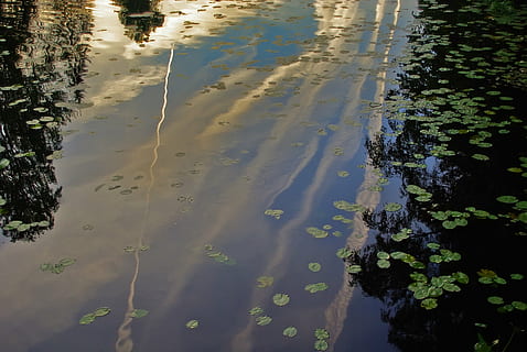 rivier-, reflectie, hemel, avond, vijver, zonsondergang, water, hoge hoekmening, natuur, dag, geen mensen, fabriek, waterkant, buitenshuis, verontreiniging, milieu problemen, kalmte, plas, vuil, milieu, watervervuiling, boom, meer, drijvend op water, moeras, 4K, CC0, publiek domein, royaltyvrij
