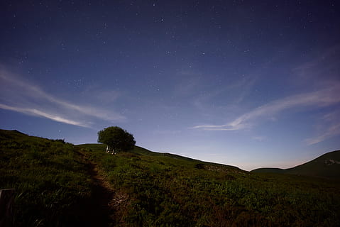 árbol, montaña, nublado, cielo, fotografía, verde, Noche, macizo central, colina, nube, oscuridad, amanecer, naturaleza, paisaje, scenics, al aire libre, azul, nube - cielo, hierba, belleza en la naturaleza, nadie, verano, escena rural, estrella - espacio, paisajes - naturaleza, astronomía, planta, espacio, ambiente, tranquilidad, escena tranquila, idílico, tierra, espacio y astronomia, Vía láctea, 4K, CC0, dominio público, libre de derechos