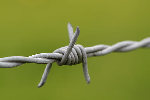 detailní fotografie, ostnatá, drát, ostnatý drát, špičatý, riziko, plot, kov, trn, dom, elektrické vedení, zajetí, bezpečnostní, vězněn, vězení, chycen, ochrana, bariéra, makro, zavřít, detail, bezpečnost, nikdo, síla, spojení, hranice, studio shot, varovná cedule, zaměřit se na popředí, barevné pozadí, selektivní zaměření, kopie prostor, zelená barva, podepsat, vyloučení, 4K, CC0, veřejná doména, bez autorských práv