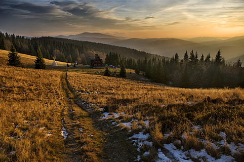 bruin, grasveld, dag tijd, Rycerzowa, zonsondergang, berg-, natuur, landschap, Vakantiebestemmingen, boom, Bos, buitenshuis, schoonheid in de natuur, landelijke scène, hemel, herfst, zonsopgang - ochtendgloren, wolk - lucht, niet-stedelijke scène, zonlicht, ochtend-, seizoen, heuvel, rustige scène, winter, zon, bos-, dageraad, schemer, panoramisch, veld-, scenics - natuur, milieu, fabriek, land-, kalmte, geen mensen, bergketen, gras, 4K, CC0, publiek domein, royaltyvrij