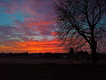 Nature, Sunset, Red, Blue, sky, red, blue, before spring, tree, silhouette, dusk, landscape, orange Color, outdoors, scenics, no people, beauty in nature, scenics - nature, cloud - sky, plant, tranquil scene, tranquility, bare tree, land, environment, idyllic, field, 4K, CC0, public domain, royalty free