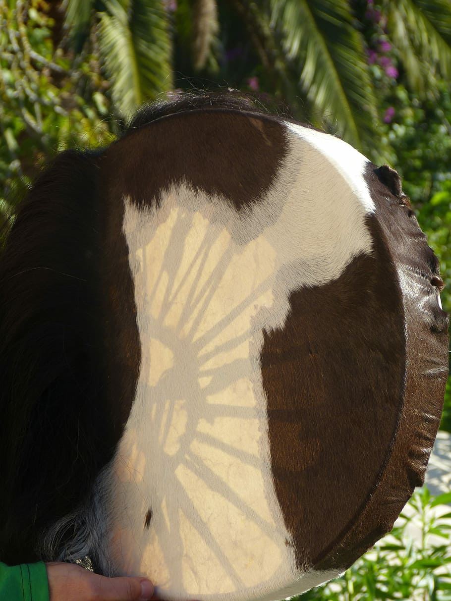 sciamanico, tamburo, Magia, giorno, all'aperto, una persona, adulto, albero, avvicinamento, un animale, temi animali, animale, mammifero, retrovisore, animali domestici, natura, luce del sole, vertebrato, capelli, fauna selvatica, parte del corpo animale, domestico, erbivoro, 4K