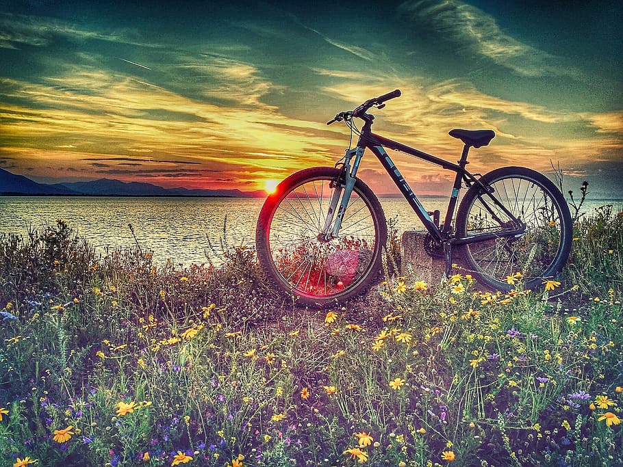 negre, bicicleta de muntanya dura, al costat, cos, aigua, posta de sol, hardtail, bicicleta de muntanya, cos d'aigua, chalkida, bicicletes de cub, núvol - cel, bicicleta, cel, cel dramàtic, cloudscape, transport, naturalesa, vehicle terrestre, terra, bellesa a la natura, planta, manera de transport, flor, planta amb flors, estacionari, escenics - natura, herba, escena tranquil·la, platja, cap gent, a l'aire lliure, 2K