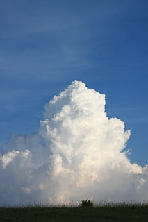 blå, skyer, fluffy, bjerge, himmel, hvid, natur, sky - himmel, skønhed i naturen, ro, Mark, landskab, dag, plante, scenics - natur, rolig scene, miljø, græs, ingen mennesker, jord, udendørs, sollys, ikke-urbane scene, kopiere plads, 4K, CC0, offentligt domæne, royaltyfrie