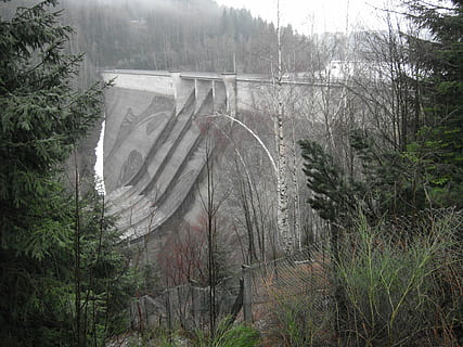 diga, albero, pianta, foresta, natura, terra, crescita, nessuno, connessione, ponte - struttura fatta dall'uomo, ponte, la tranquillità, mezzi di trasporto, scenics - natura, giorno, scena tranquilla, struttura costruita, scena non urbana, bellezza nella natura, ambiente, all'aperto, 4K, CC0, dominio pubblico, privo di copyright