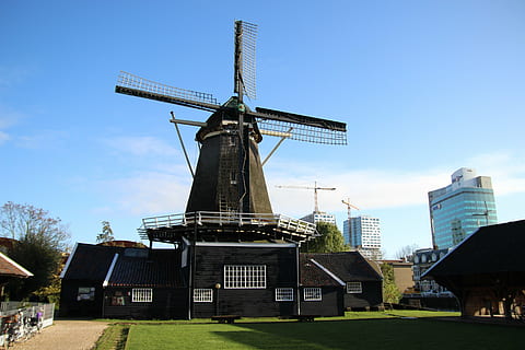 holland, mill, windmill, netherlands, historically, architecture, built structure, alternative energy, fuel and power generation, renewable energy, sky, building exterior, wind power, wind turbine, environmental conservation, environment, traditional windmill, nature, turbine, grass, day, plant, blue, no people, field, outdoors, 5K, CC0, public domain, royalty free
