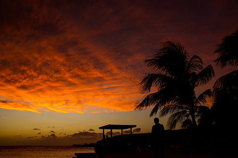 silueta, home, cos, aigua, daurat, hores, cos d'aigua, hora daurada, posta de sol, mar, platja, Palmera, clima tropical, vacances, vespre, naturalesa, estiu, cel, línia de costa, llocs de viatges, viatjar, complex turístic, destinacions de viatge, nit, llum solar, cap gent, a l'aire lliure, relaxació, núvol - cel, arbre, bellesa a la natura, escenics - natura, color taronja, escena tranquil·la, terra, planta, tranquil·litat, transport, horitzó sobre l’aigua, 4K, CC0, domini públic, lliure de regalies