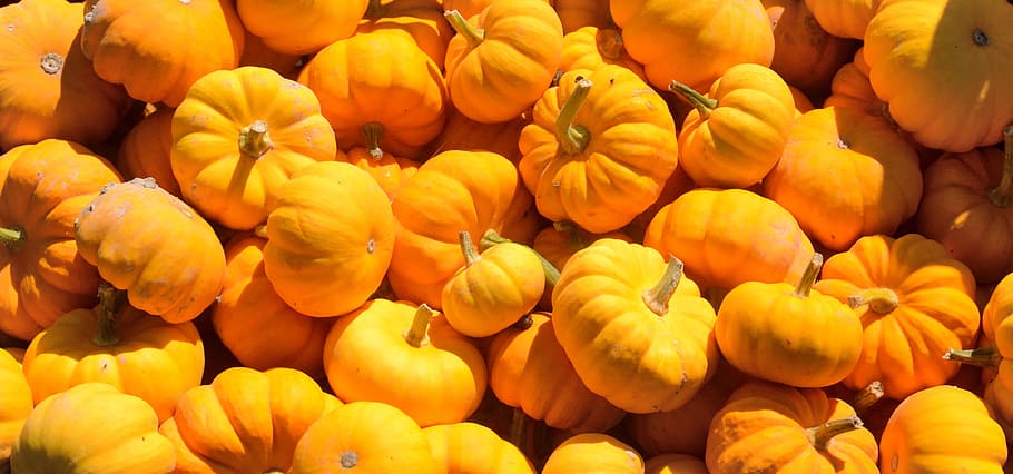 portocale, dovleci, a închide, fotografie, suc de fructe, toamnă, fermă, legume și fructe, agricultură, mulțumire, tigve, Produs de ferma, cădea, legume, sezonier, galben, alimente, prospeţime, mancare si bautura, mâncat sănătos, grup mare de obiecte, bunăstare, abundenţă, cadru complet, vegetal, fundaluri, piaţă, nici o persoana, fruct, plantă, natură, culoare portocalie, în aer liber, cu amănuntul, copt, 2K