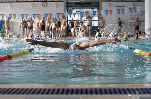 nadando, ejercicio, piscina, deporte, gente, deportes y fitness, agua, deporte competitivo, haciendo ejercicio, búsqueda recreativa, hombres, acción, competencia, atleta, movimiento, estilos de vida, grupo de personas, deporte acuático, personas incidentales, salpicaduras, naturaleza, marcador de carril de natación, día, brazo humano, extremidad humana, al aire libre, brazos levantados, 2K, CC0, dominio público, libre de derechos