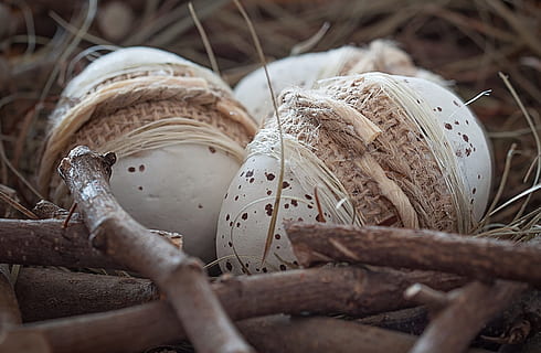 drie, wit, eieren van pluimvee, nest, ei, Paas eieren, ketellapper, deco, decoratie, Pasen, dichtbij, selectieve aandacht, voedsel, eten en drinken, geen mensen, detailopname, houder, mand, natuur, groente, dag, buitenshuis, fabriek, paddestoel, versheid, hout - materiaal, gezond eten, stilleven, 1080P, CC0, publiek domein, royaltyvrij