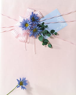 flad, lægge, fotografering, blå, blomst, emballage, gavepakke, mønster, lyserød, blomster, indretning, lyserød farve, baggrunde, blomstrende plante, plante, friskhed, skrøbelighed, skønhed i naturen, blomsterhoved, sårbarhed, natur, blomsterstand, kronblad, tæt på, indendørs, vækst, ingen mennesker, daisy, bord, pollen, høj vinkel visning, plantestamme, lilla, blomster arrangement, 4K, CC0, offentligt domæne, royaltyfrie