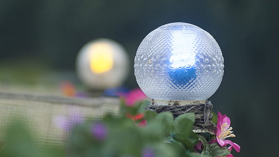 flashlight, colored lights, light, lighting, evening, lamp, bulbs, lightbulb, lantern, contrast, handsomely, romance, closeup, the light source, lightning equipment, summer, sphere, close-up, selective focus, flowering plant, plant, flower, focus on foreground, decoration, outdoors, reflection, no people, art and craft, nature, night, arts culture and entertainment, celebration, illuminated, multi colored, creativity, purple, nightlife, 2K, CC0, public domain, royalty free