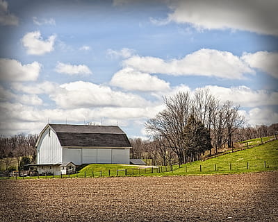 Scheune, rustikal, Scheunen, Ohio, digitale Kunst, ländlich, szenisch, Land, Landschaft, Schuppen, wirft, Bauernhof, Bauernhöfe, Landwirtschaft, landwirtschaftlich, Bauernhaus, champaign, Bezirk, Americana, Foto, fotografieren, Struktur, Strukturen, sturgell, William Sturgell, bill sturgell, historisch, Wohnkultur, Gebäude, Wolken, Himmel, Baum, Bäume, wolkig, Unkraut, Champaign County, Urbana, die Architektur, gebaute Struktur, wolke - himmel, Pflanze, Gebäudehülle, Feld, landwirtschaftliches Gebäude, Haus, Tag, Natur, keine Leute, ländliche Szene, draußen, Kabine, 4K, CC0, gemeinfrei, lizenzfrei