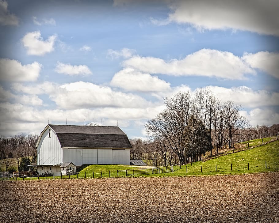 Scheune, rustikal, Scheunen, Ohio, digitale Kunst, ländlich, szenisch, Land, Landschaft, Schuppen, wirft, Bauernhof, Bauernhöfe, Landwirtschaft, landwirtschaftlich, Bauernhaus, champaign, Bezirk, Americana, Foto, fotografieren, Struktur, Strukturen, sturgell, William Sturgell, bill sturgell, historisch, Wohnkultur, Gebäude, Wolken, Himmel, Baum, Bäume, wolkig, Unkraut, Champaign County, Urbana, die Architektur, gebaute Struktur, wolke - himmel, Pflanze, Gebäudehülle, Feld, landwirtschaftliches Gebäude, Haus, Tag, Natur, keine Leute, ländliche Szene, draußen, Kabine, 4K