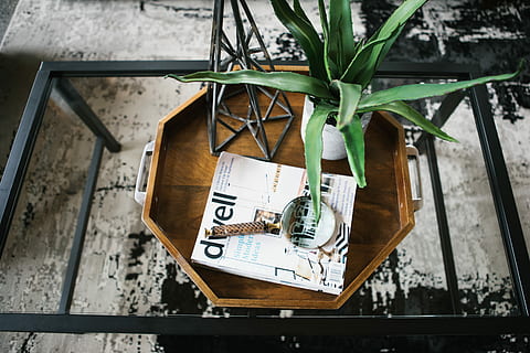 leafed, pianta, bianca, pentola, tavolo, ceramica, vaso, Aloe Vera, superiore, di legno, vassoio, interno, tavolino da caffè, lente d'ingrandimento, interior design, decorare, comunicazione, testo, nessuno, legno - materiale, all'aperto, attività commerciale, giorno, carta, etichetta, Al dettaglio, natura, architettura, vista dall'alto, cibo e bevande, cartello, numero, finanza, scatola, 2K, CC0, dominio pubblico, privo di copyright