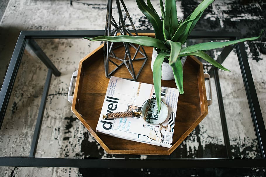 leafed, pianta, bianca, pentola, tavolo, ceramica, vaso, Aloe Vera, superiore, di legno, vassoio, interno, tavolino da caffè, lente d'ingrandimento, interior design, decorare, comunicazione, testo, nessuno, legno - materiale, all'aperto, attività commerciale, giorno, carta, etichetta, Al dettaglio, natura, architettura, vista dall'alto, cibo e bevande, cartello, numero, finanza, scatola, 2K