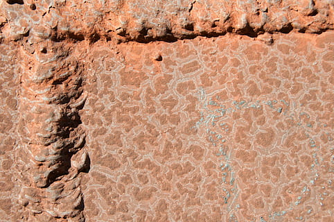 òxid, rovellat, metall, fons, textura, resum, patró, material, marc complet, cap gent, naturalesa, dia, primer pla, a l'aire lliure, arquitectura, estructura construïda, vermell, rock, rock - object, funció de construcció de parets, ampliació, formació de roca, geologia, terra, animal, gres, erosionat, 4K, CC0, domini públic, lliure de regalies