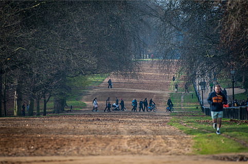 gente, la carretera, Pinos, tiempo de día, hombre, vistiendo, negro, naranja, capucha, parque, corredor, corriendo, aptitud, ejercicio, arboles, hierba, suciedad, hojas, gente real, centrarse en primer plano, árbol, día, al aire libre, naturaleza, un animal, hombres, longitud total, una persona, planta, grupo de personas, adulto, mujer, actividad de ocio, bosque, estilos de vida, tierra, sendero, transporte, parque - espacio hecho por el hombre, 1080P, CC0, dominio público, libre de derechos