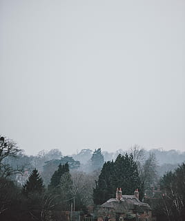 bos dorpsleven, antenne, foto, grijs, huis, landschap, boom, mist, hemel, gebouw, fabriek, kopie ruimte, natuur, heldere lucht, dag, schoonheid in de natuur, kalmte, scenics - natuur, buitenshuis, rustige scène, architectuur, land-, geen mensen, berg-, 4K, CC0, publiek domein, royaltyvrij