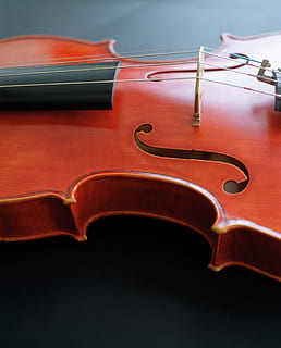 violin, klassisk, bratsch, bøjet stramt instrument, instrument, orkester, træ, musik, indstudering, Spille, concerto, lyd, klassisk musik, musikalsk, snor, musiker, underholdning, symfoni, strenget, antik, kunstnerisk, musikinstrument, kunstkultur og underholdning, musikalsk udstyr, streng instrument, tæt på, ingen mennesker, indendørs, studio skud, musikinstrumentstreng, enkelt objekt, farvet baggrund, Brun, sort baggrund, mysterium, fokus på forgrunden, enkelhed, 5K, CC0, offentligt domæne, royaltyfrie