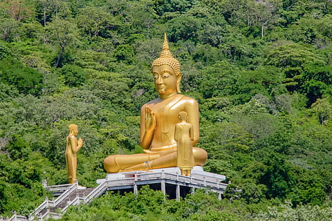 socha Buddhy, strom, obraz, Buddha, glod, zastoupení, socha, sochařství, lidské zastoupení, náboženství, mužská podobnost, rostlina, duchovno, umění a řemesla, víra, zlaté barvy, modla, Příroda, nikdo, den, velký, venku, 5K, CC0, veřejná doména, bez autorských práv
