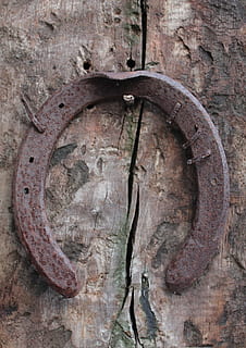 horseshoe, wood, rustic, old, rusted, texture, crack, iron, hanging, luck, wooden, dents, holes, worn, no people, metal, close-up, textured, wood - material, day, rusty, shape, circle, tree trunk, outdoors, trunk, tree, geometric shape, wheel, nature, weathered, plant, damaged, 1080P, CC0, public domain, royalty free