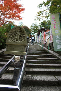 iwakuni, Japón, pasos, arboles, fuera de, cielo, templo, gente, punto de referencia, carril, barandilla, macro, de cerca, texto, personas incidentales, día, arquitectura, árbol, metal, escalera, comunicación, naturaleza, planta, estructura construida, escalones y escaleras, centrarse en primer plano, al aire libre, transporte, guión, dirección, 4K, CC0, dominio público, libre de derechos