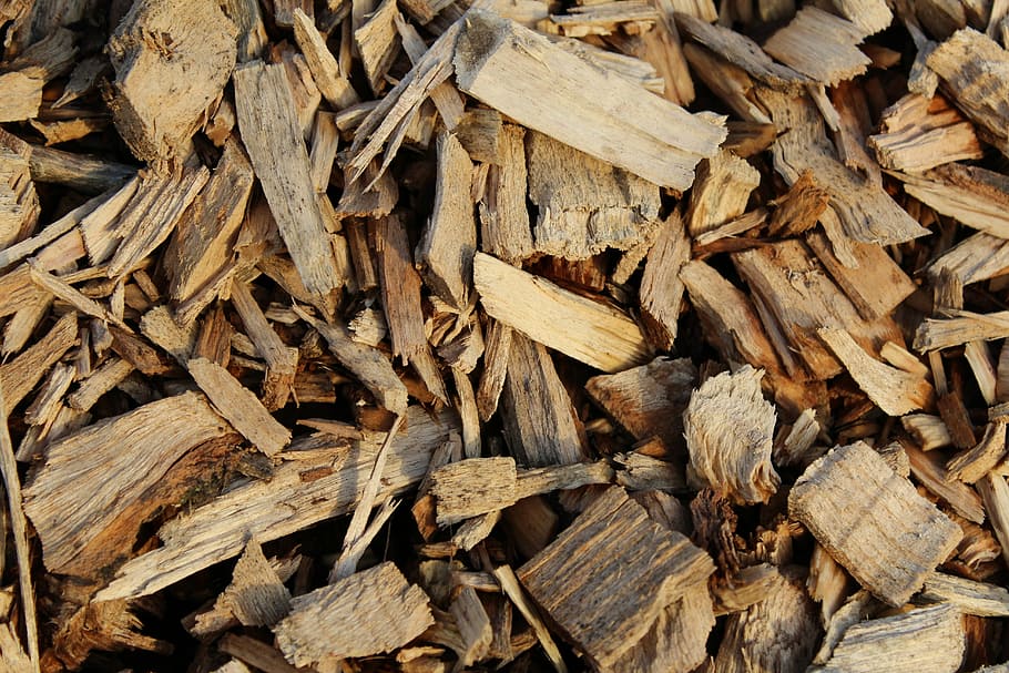 fusta, mulch, escorça, xips, marc complet, fons, gran grup d'objectes, abundància, cap gent, naturalesa, primer pla, marró, llenya, material de fusta, registre, indústria de la fusta, pila, Munt, sec, textura, desforestació, arbre, 5K