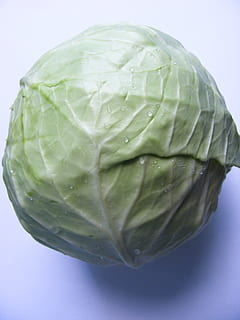 anticancerigen, antioxidant, col, sulforaphane, vitamines, verdures, frescor, menjar i beguda, color verd, primer pla, menjar, vegetals, benestar, alimentació saludable, tir de l'estudi, a l'interior, cap gent, tirar, aigua, naturalesa, natura morta, humit, full, aliments crus, menjar vegetarià, fons blau, 2K, CC0, domini públic, lliure de regalies