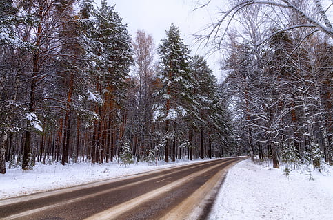 inverno, strada, foresta, la neve, strada invernale, inverno, strada, alberi, paesaggio invernale, auto, bianca, brina, macchina, strada forestale, neve da strada, foresta invernale, pino, natura inverno neve, strada verso il nulla, natura, albero, freddo, strada di casa, temperatura fredda, tempo metereologico, nevicando, pianta, mezzi di trasporto, la strada davanti, direzione, nessuno, bellezza nella natura, copertura, scenics - natura, Colore bianco, la tranquillità, albero nudo, terra, prospettiva decrescente, treelined, 4K, CC0, dominio pubblico, privo di copyright