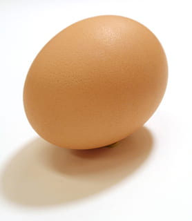superficiale, fotografia a fuoco, Marrone, nativo, uovo, uova, fritte, difficile, pollo, chook, divertente, Bacon, prima colazione, Grasso, malsano, Eggy, il giro, bollito, dieta, salutare, cibo, freschezza, mangiare sano, isolato, biologico, cibo e bevande, uovo animale, avvicinamento, bianca, girato in studio, sfondo bianco, benessere, in casa, nessuno, cibo crudo, natura morta, ritagliare, singolo oggetto, vulnerabilità, natura, fragilità, 1080P, CC0, dominio pubblico, privo di copyright