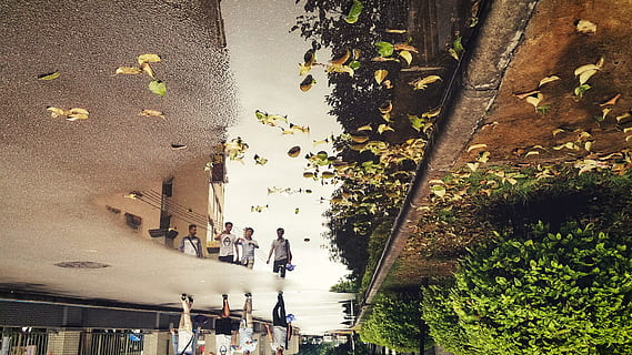 Entlaubung, Reflexion, Regen, Wasser, die Architektur, Pfütze, draußen, Stadt, Tag, Gruppe von Leuten, echte Menschen, Pflanze, große gruppe von menschen, High Angle View, Männer, Menge, gebaute Struktur, Baum, Lebensstile, Gehen, Freizeitbeschäftigung, Frau, Natur, 4K, CC0, gemeinfrei, lizenzfrei