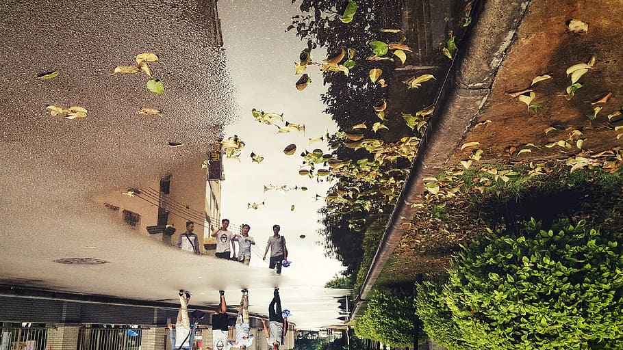 defoliació, reflexió, pluja, aigua, arquitectura, bassal, a l'aire lliure, ciutat, dia, grup de persones, persones reals, planta, gran grup de persones, vista d’angle alt, homes, multitud, estructura construïda, arbre, estils de vida, caminar, activitat d'oci, dones, naturalesa, 4K