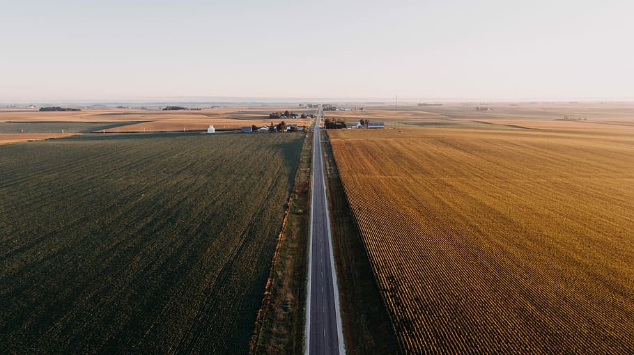 immer, merken, kam, Luftaufnahmen, Feld, Straße, Felder, Pflanzen, lange, Landschaft, Bauernhof, Autobahn, Morgenlicht, Licht, Morgen, Iowa Himmel, Luftaufnahme, Antenne, Drohnenbild, Drohnenfotografie, Umgebung, Transport, ländliche Szene, Land, Landwirtschaft, Natur, Himmel, Tag, Szenen - Natur, Getreidepflanze, High Angle View, keine Leute, Pflanze, Schönheit in der Natur, Horizont über Land, draußen, 2K