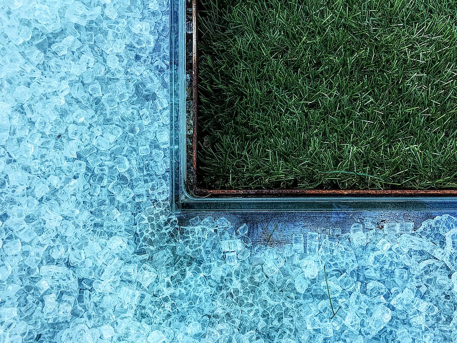 glace et herbe, nager, bassin, à côté de, vert, pelouse, la glace, herbe, géométrie, bleu, plante, journée, personne, vue grand angle, couleur verte, la nature, directement au-dessus, champ, en plein air, terre, croissance, eau, beauté dans la nature, la fenêtre, transparent, piscine, fermer, 4K