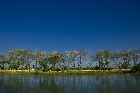 ochtend-, reflectie, hemel, samenstelling, bomen, rivier-, boom, water, fabriek, meer, scenics - natuur, kalmte, schoonheid in de natuur, rustige scène, heldere lucht, geen mensen, natuur, blauw, kopie ruimte, dag, niet-stedelijke scène, groei, buitenshuis, 720P, CC0, publiek domein, royaltyvrij